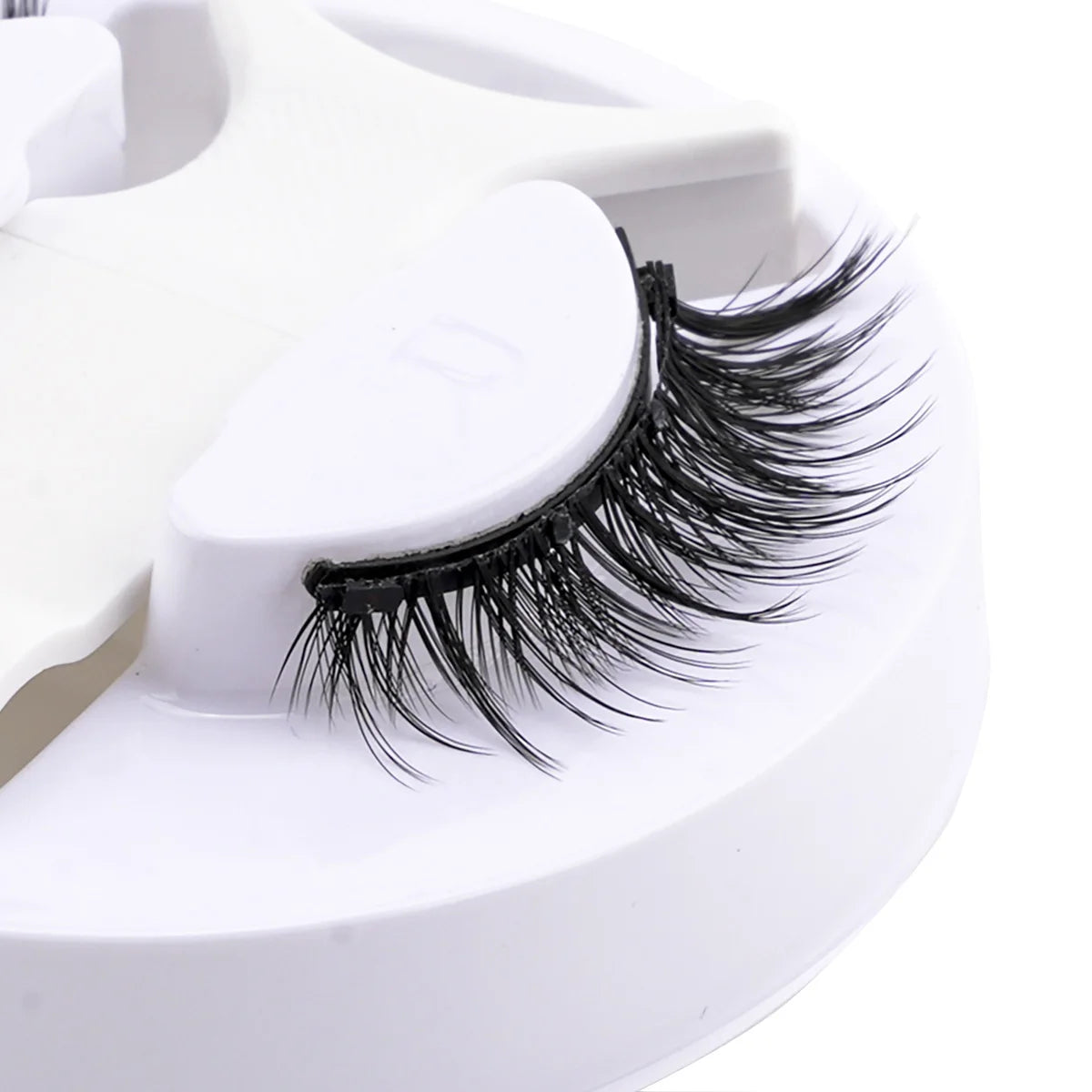 Glam Lashes