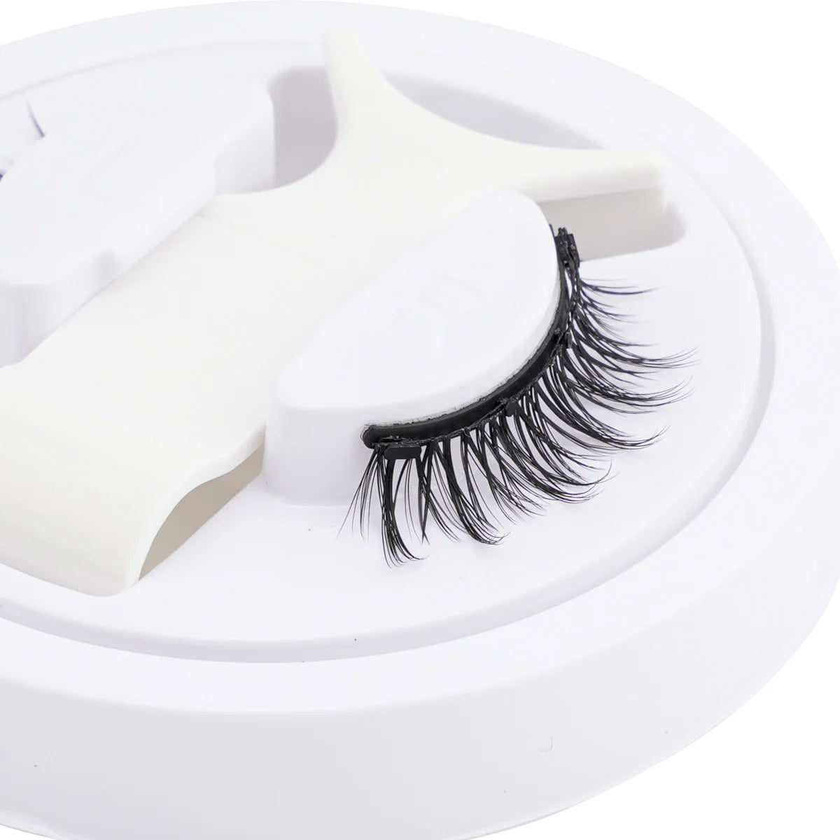 Glam Lashes