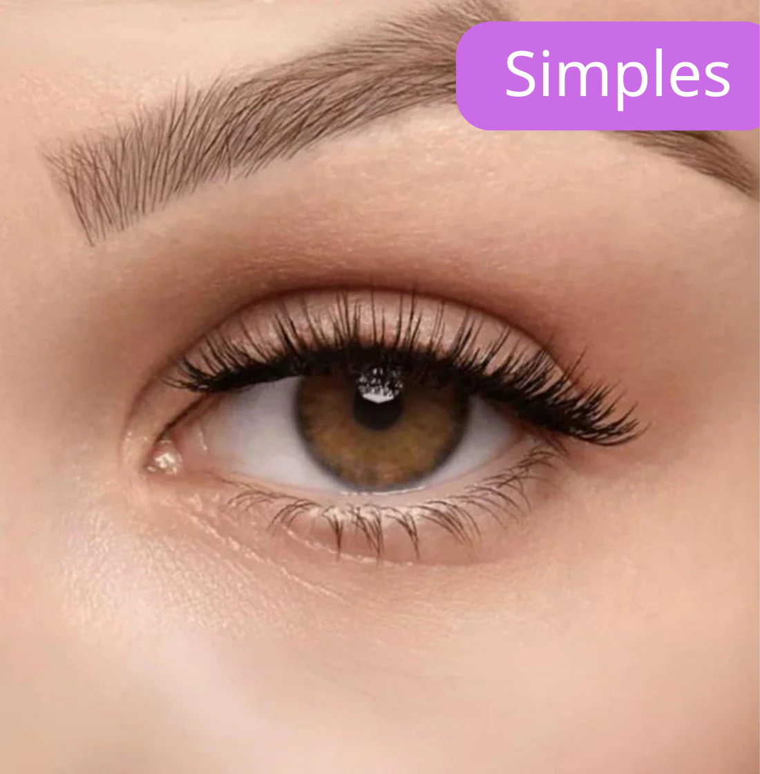 Glam Lashes