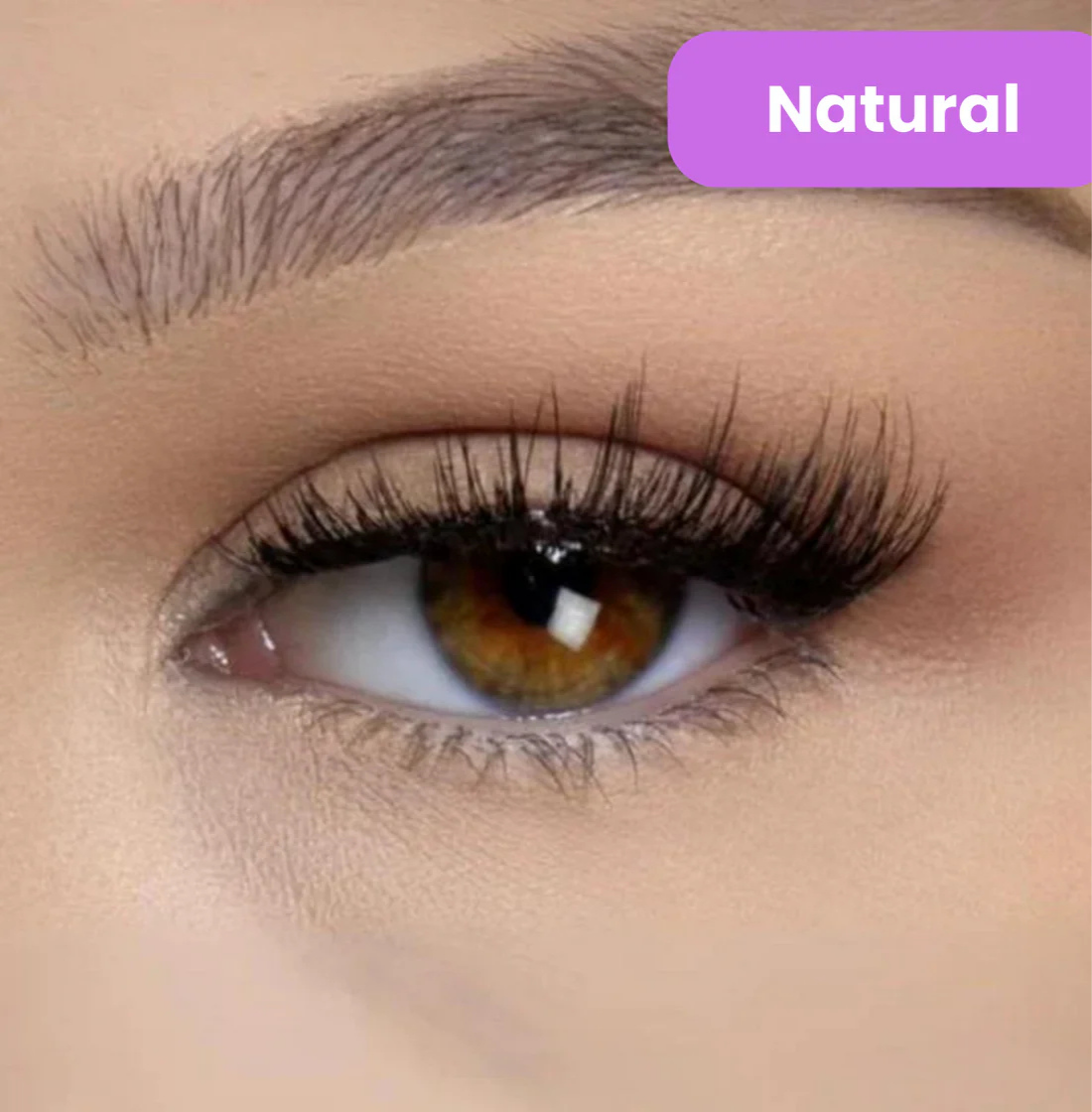 Glam Lashes